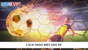 Cách Nhận Biết Kèo Dụ - Nâng Tầm Soi Kèo, Thắng Lớn Mỗi Ngày
